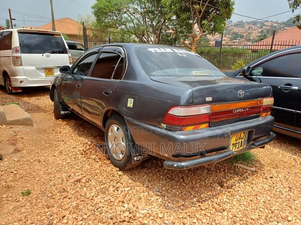 Toyota Corolla 1996 Gray
