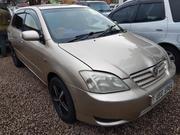 Toyota Allex 2008 Beige for sale