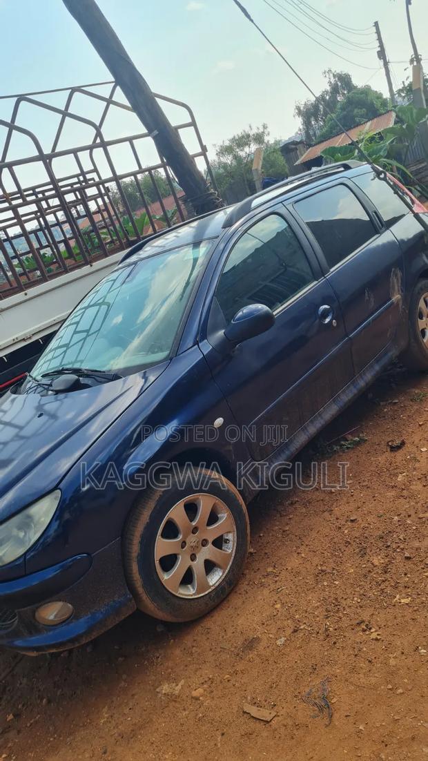 Peugeot Rally 2005 Blue
