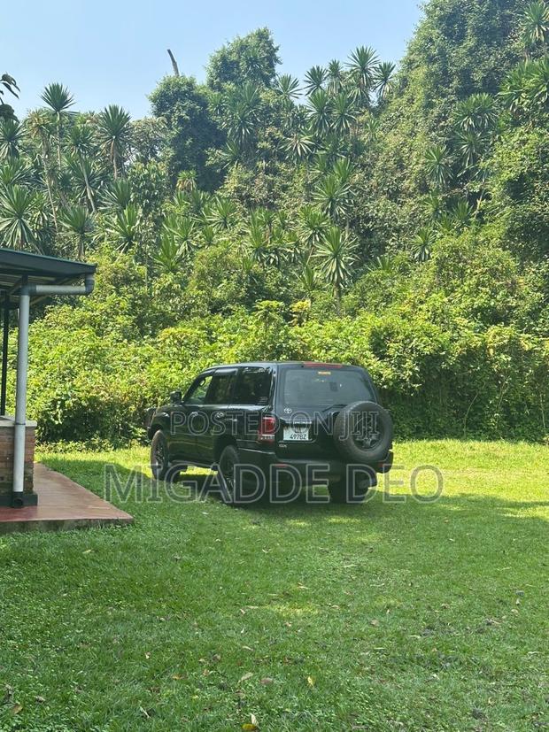 Toyota Land Cruiser 2009 Black