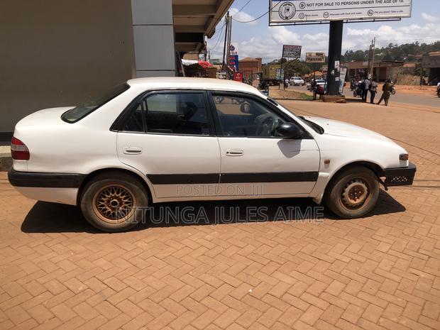 Toyota Corolla 2011 White