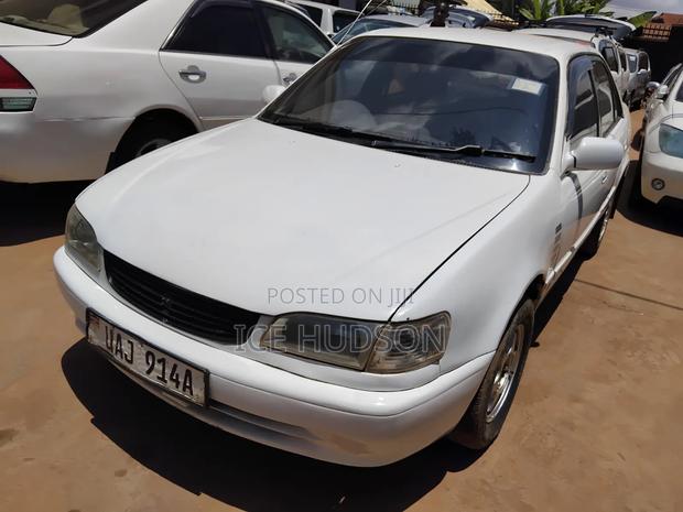 Toyota Corolla 2000 White
