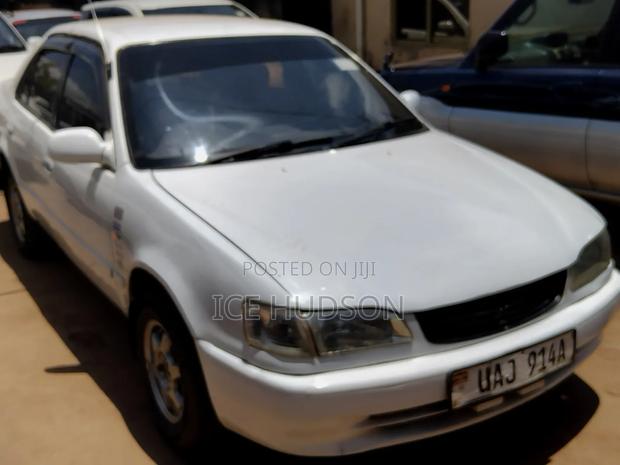 Toyota Corolla 2000 White