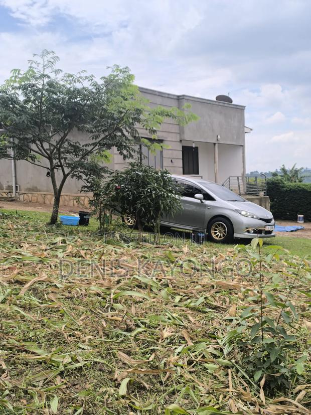 Toyota Wish 2011 Gray