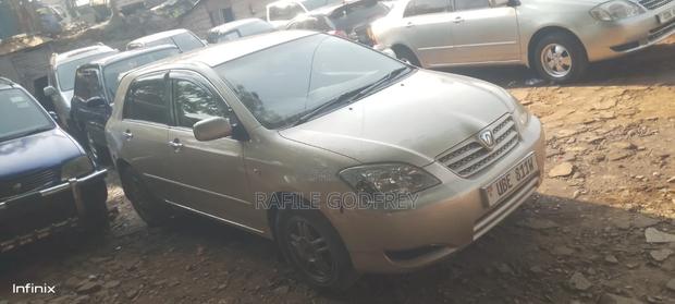 Toyota Allex 2005 Gold