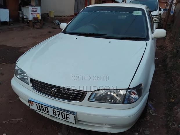 Toyota Corolla 2000  White 