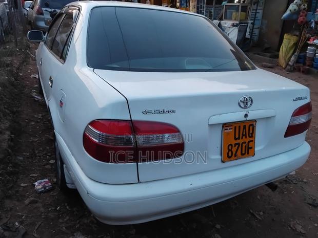 Toyota Corolla 2000  White 