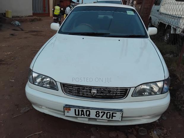 Toyota Corolla 2000  White 