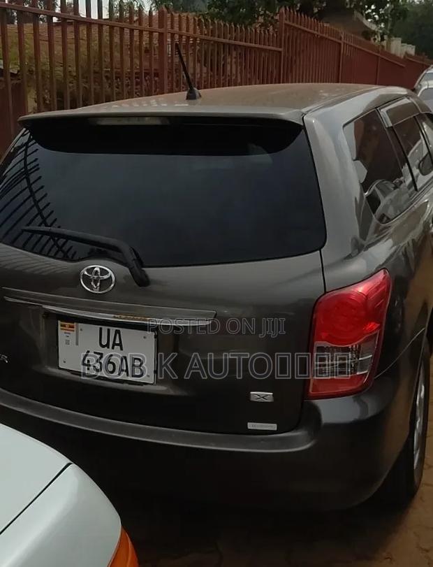 Toyota Corolla Fielder 2010 Gray