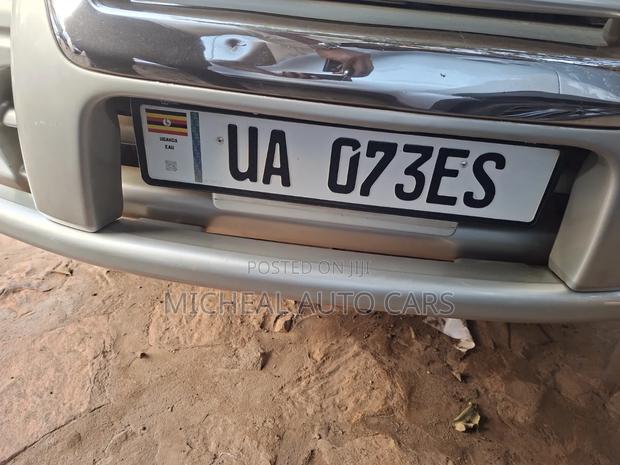 Toyota Land Cruiser 2005 Gray