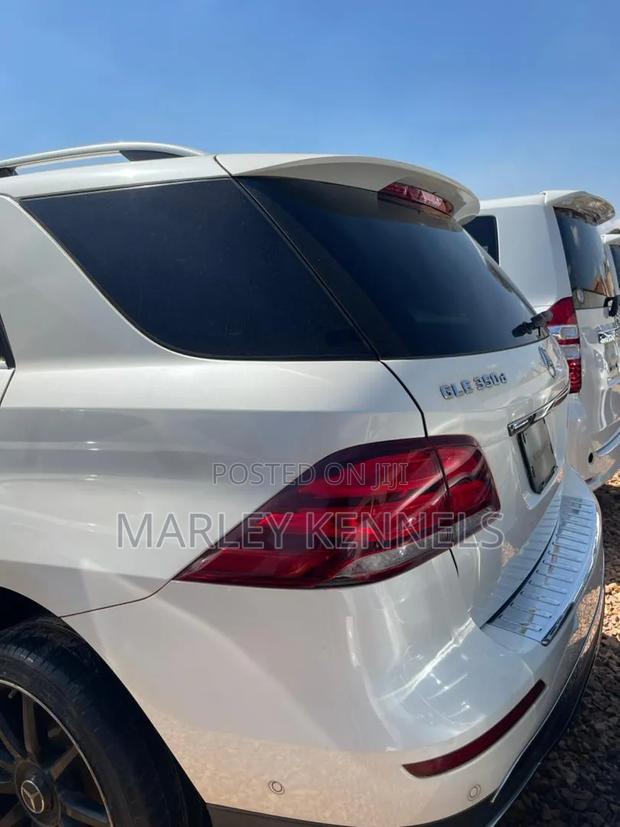 Mercedes-Benz GLE-Class GLE 350d 4MATIC 2017 White