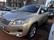 Toyota Vanguard 2009 Gold for sale