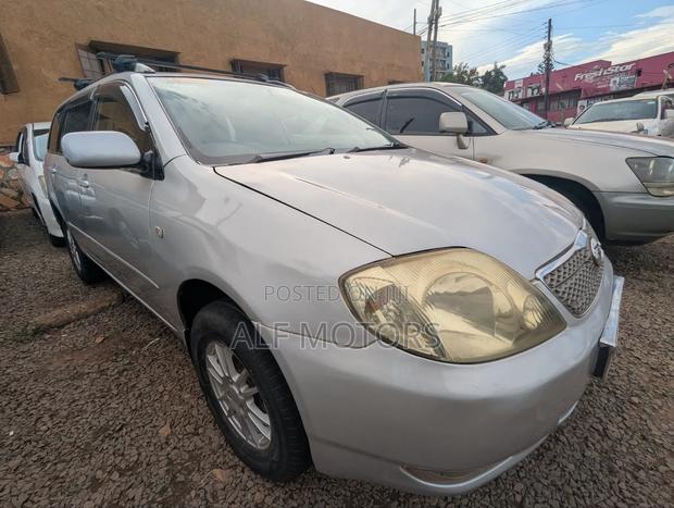 Toyota Corolla Fielder 2006 Silver