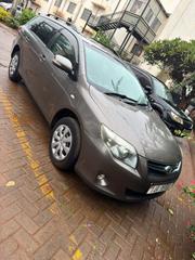 Toyota Corolla Fielder 1.5 Petrol FWD 2010 Gray for sale