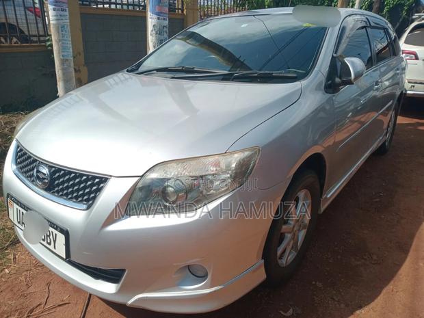 Toyota Corolla Fielder 2010 Silver