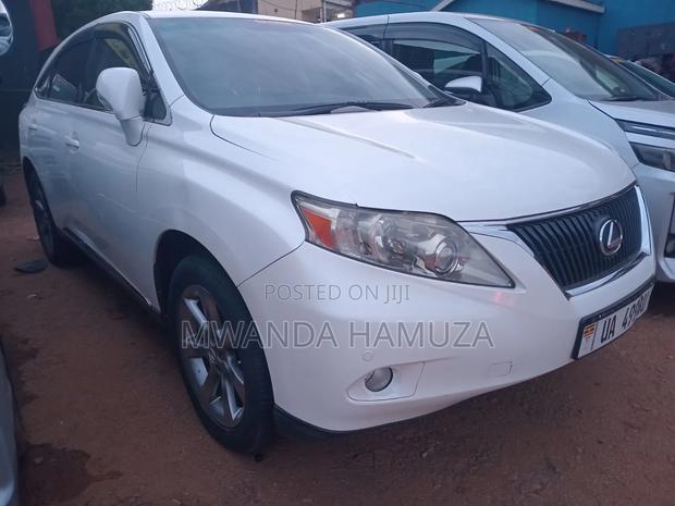 Lexus RX 2014 White