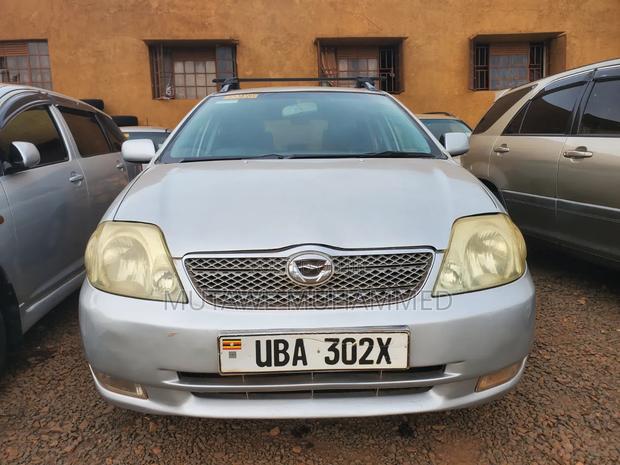Toyota Corolla Fielder 2007 Silver