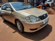 Toyota Corolla RunX 2002 Gold for sale