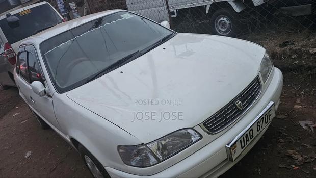 Toyota Corolla 2001 White