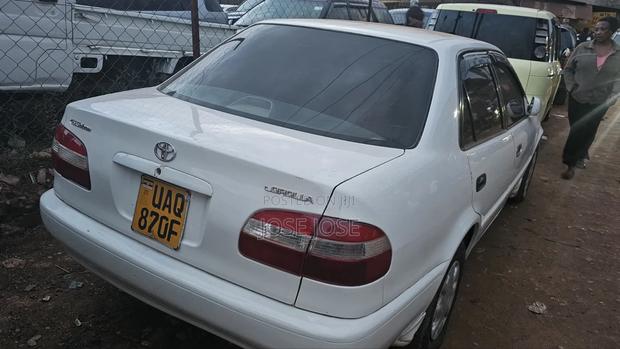 Toyota Corolla 2001 White