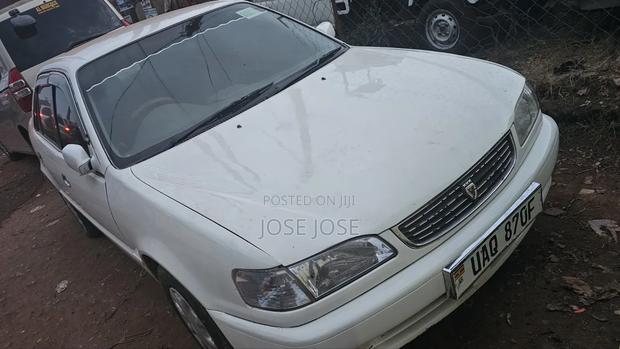 Toyota Corolla 2001 White