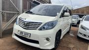 Toyota Alphard 2010 White for sale