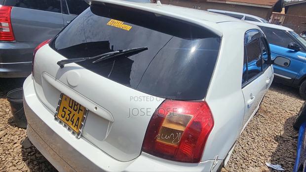 Toyota Allex 2005 White