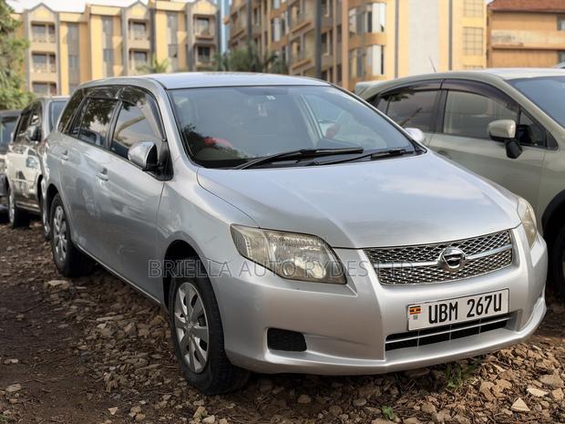Toyota Corolla Fielder 2009 Silver