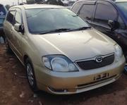 Toyota Allex 2005 Beige for sale
