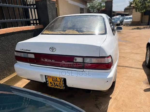 Toyota Corolla 1999 White