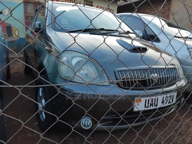 Toyota Vitz 2004
