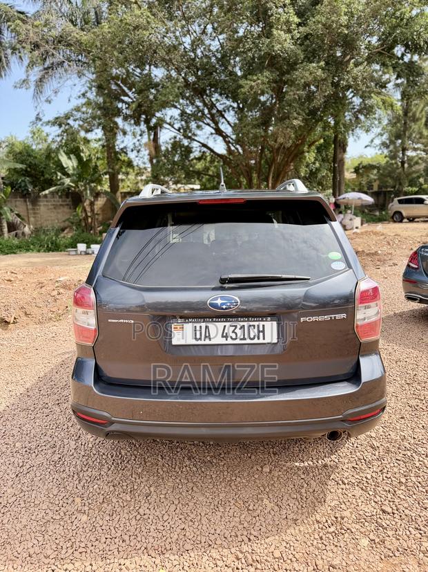 Subaru Forester 2014 Gray