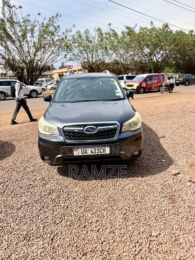 Subaru Forester 2014 Gray