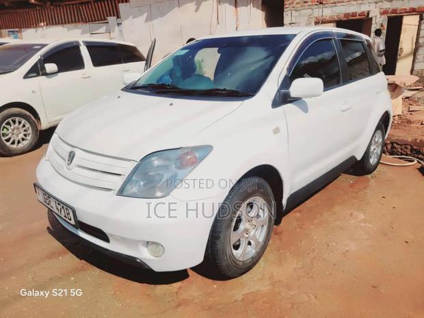 Toyota IST 2005 White
