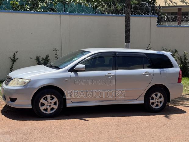 Toyota Corolla Fielder 2005 Silver