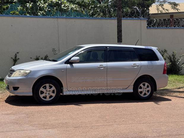 Toyota Corolla Fielder 2005 Silver