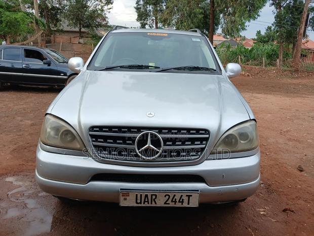 Mercedes-Benz M Class 2002 Silver