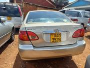 Toyota Corolla 2008 Gold for sale