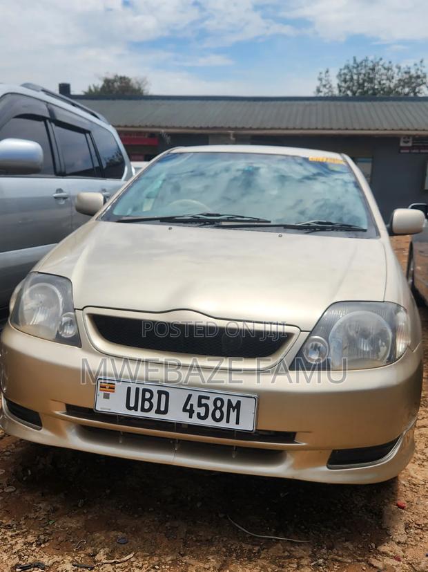 Toyota Allex 2006 Gold