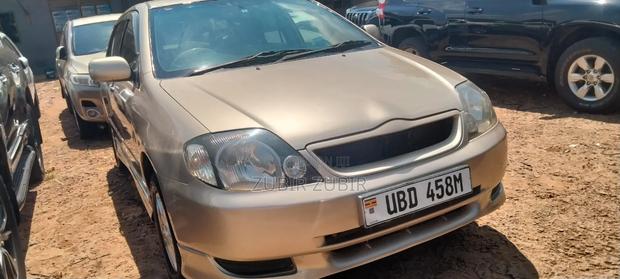 Toyota Allex 2004 Gold