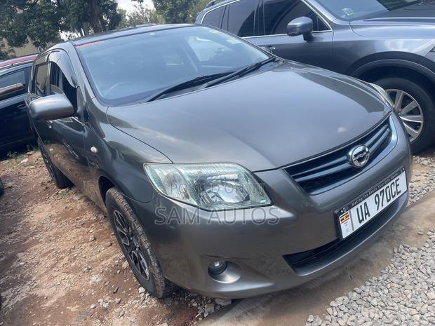 Toyota Corolla Fielder 2010 Gray