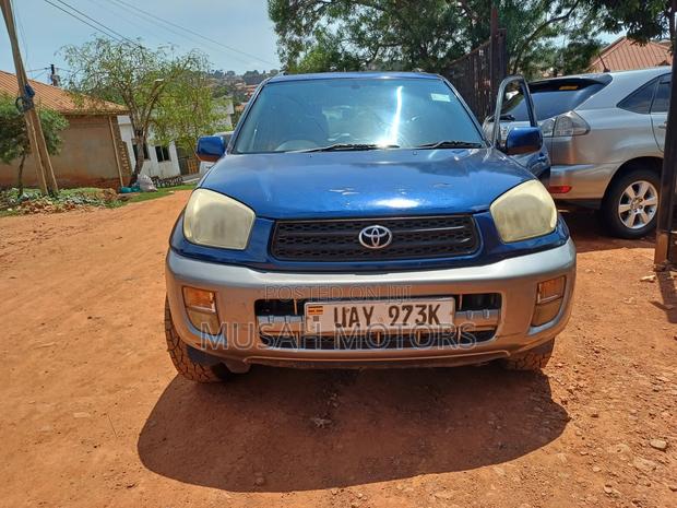 Toyota RAV4 2002 Blue