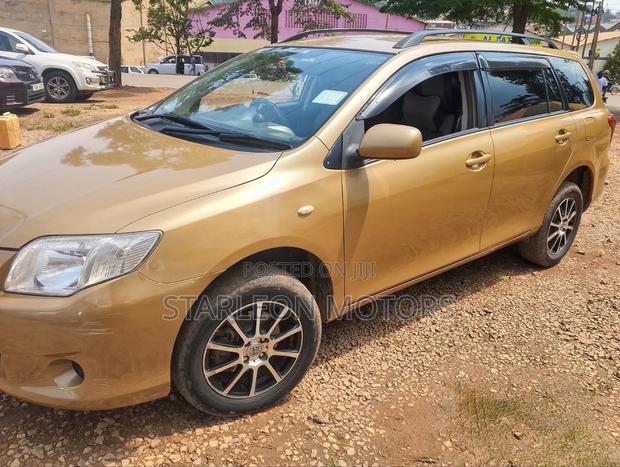 Toyota Corolla Fielder 2010 Gold