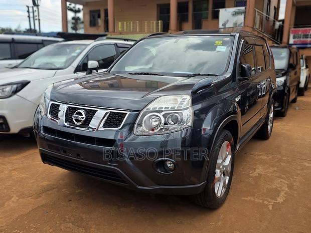 Nissan X-Trail 2.0 Petrol AWD 2013 Gray