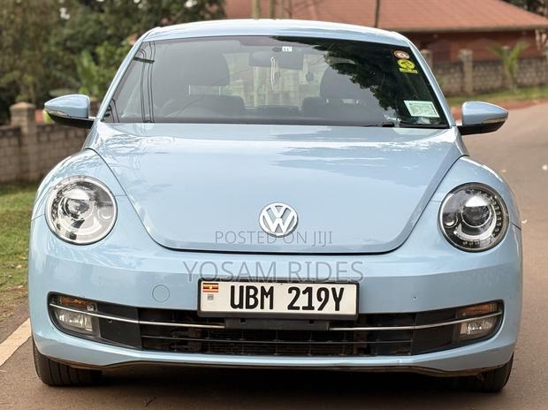 Volkswagen Beetle 2014 Blue