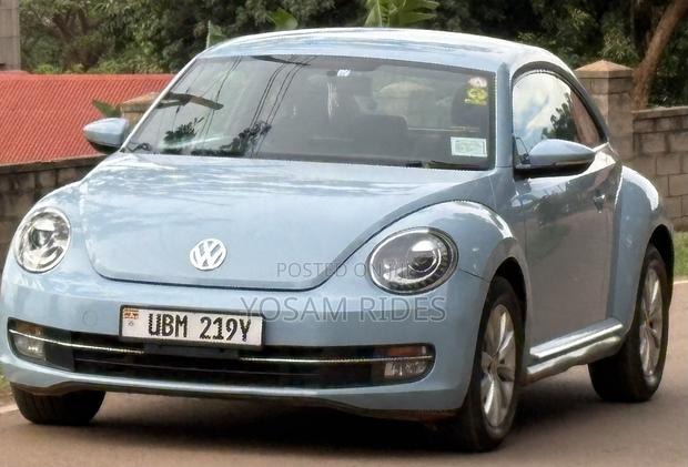 Volkswagen Beetle 2014 Blue