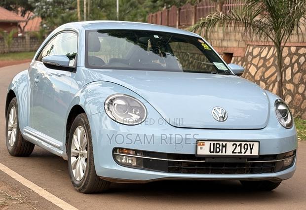 Volkswagen Beetle 2014 Blue