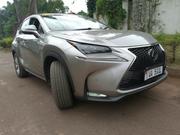 Lexus NX 2019 Gray for sale