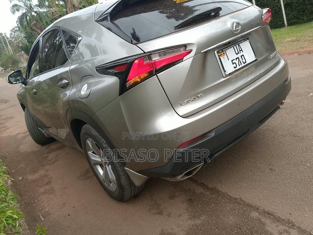 Lexus NX 2019 Gray