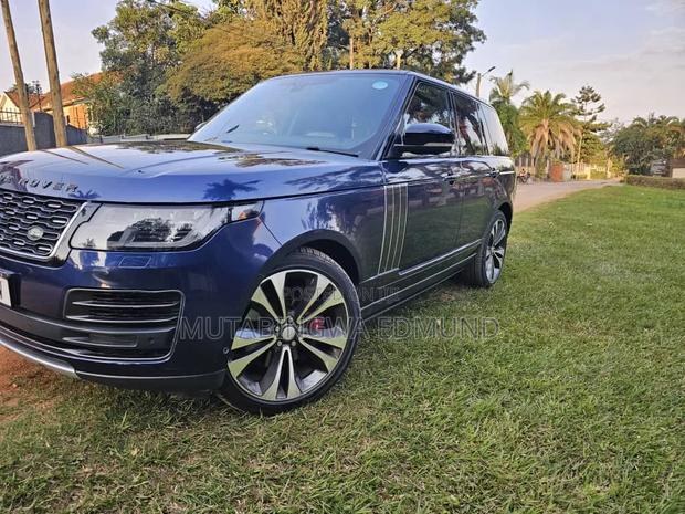 Rover 800 2019 Blue